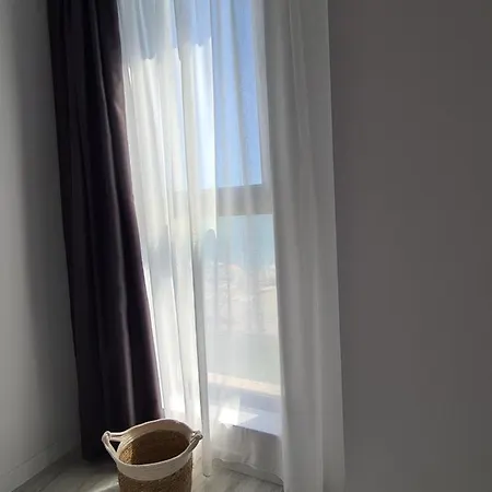 Cactus Apartment